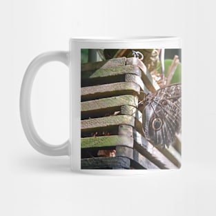 Winged Wood Mug